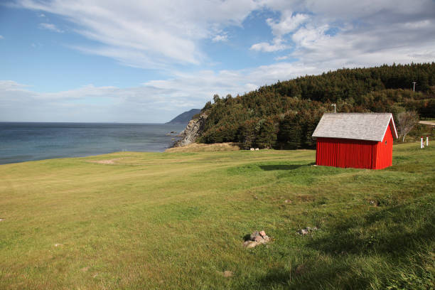 istock Red Shed on the Atlantic Ocean 1311570025