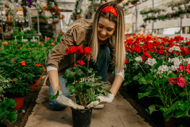 istock Planting my flowers in a pot 1311573592