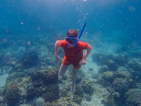 A young guy in a snorkeling mask dives under the water, sees tropical fish in the marine pool of a coral reef. Travel, adventure, swimming and water sports on the summer beach