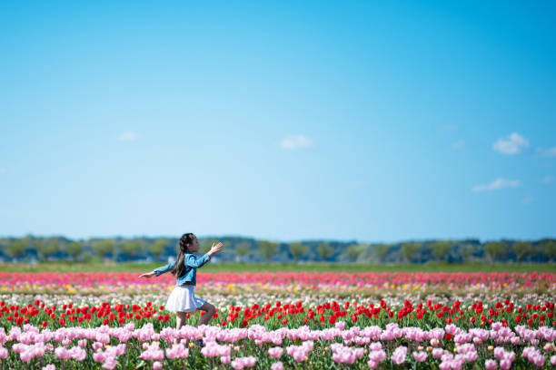 istock Girl playing in a tulip field 1311578150