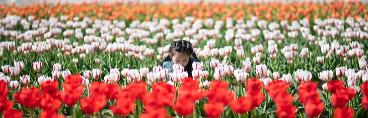 Girl sniffing the scent of tulips