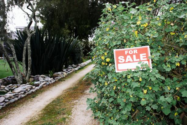 istock For Sale Sign Outside House 1311579358