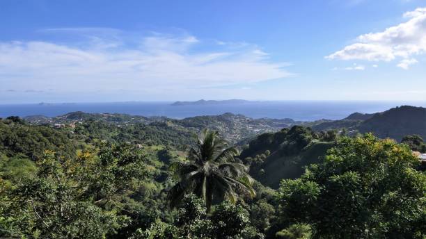 istock rainforest viewpoint in Saint Vincent and the Grenadines 1311586746