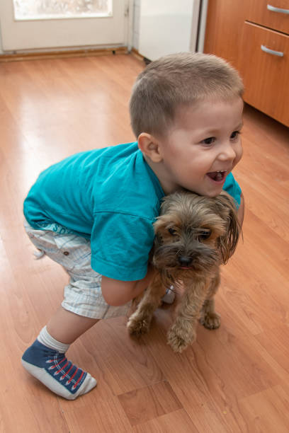 istock Little boy playing and hugging loving dog Yorkshire terrier 1311587125