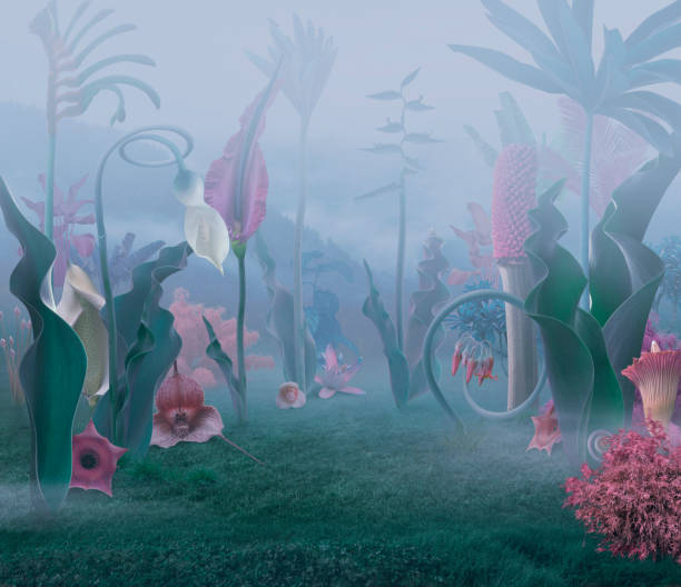 istock fairy and surreal nature back / fairy garden 1311587712