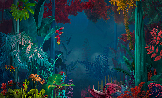 hada y surrealista noche selva / jardín photo