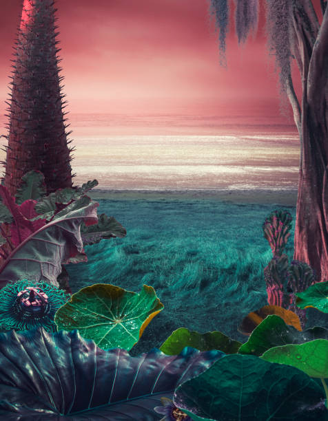 istock fairy and surreal nature back/ sunset 1311587717