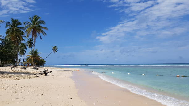 istock white sand beach in Tobago 1311589763