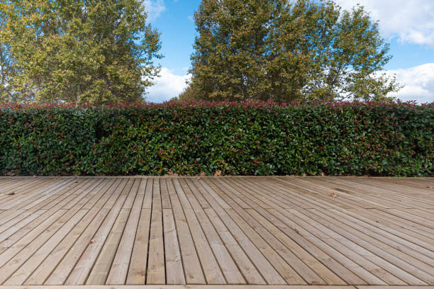 istock Wooden platform with vegetal fence 1311592615
