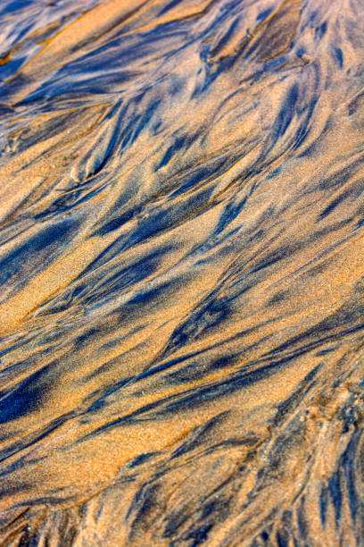 istock Background sand of the sea 1311592801