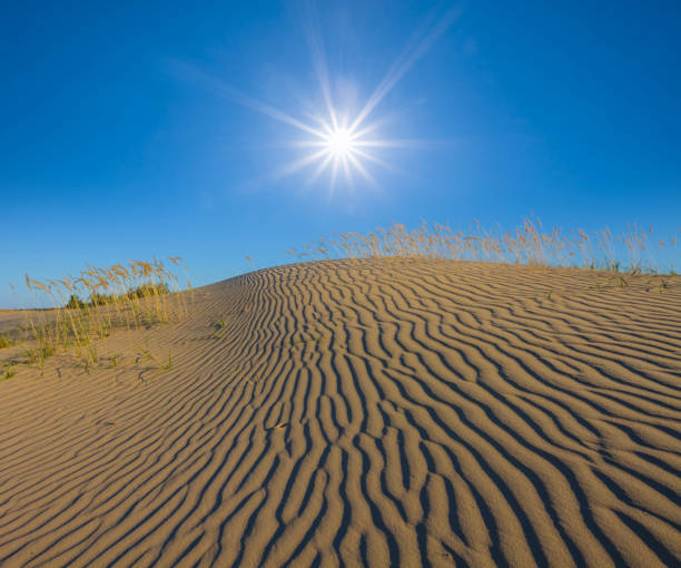 Free Stock Photo of Sun Shining Over Sand Dune | Download Free Images ...