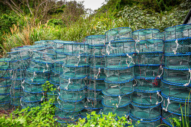 Lots of stacked nets for seafood