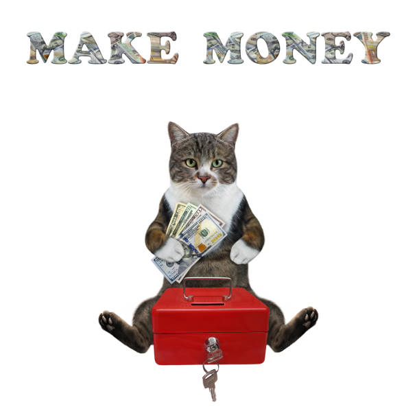 istock Cat colored puts dollars in portable safe 1311595449