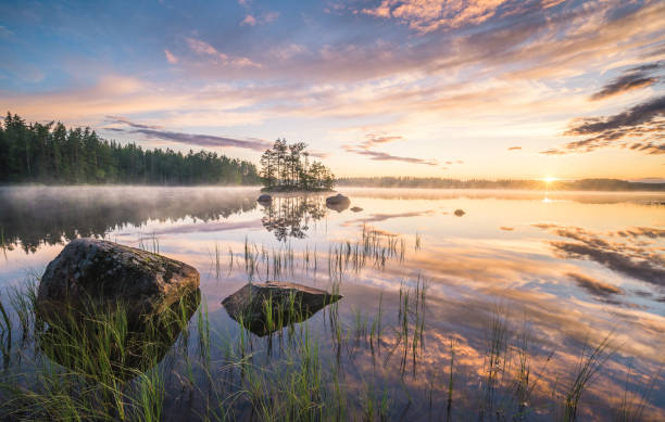 malerische naturlandschaft mit stimmungsnebel und schönem sonnenaufgang am frühen sommermorgen in finnland - forrest lake lichtstimmung nebel stock-fotos und bilder
