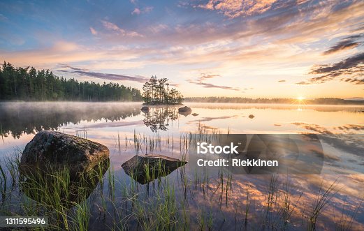 istock Scenic nature landscape with mood fog and beautiful sunrise at early summer morning in lakeside Finland 1311595496