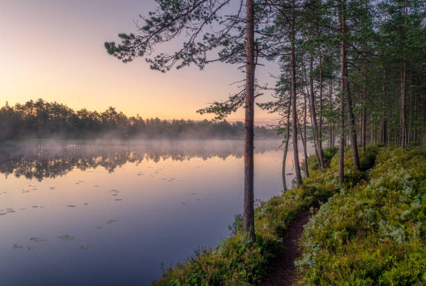 Photo of Scenic nature landscape with mood fog and beautiful sunrise at early summer morning in lakeside Finland