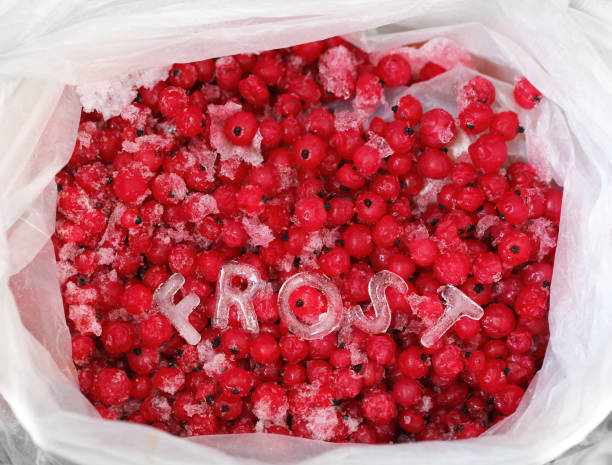 Frozen red currants and text made of ice letters