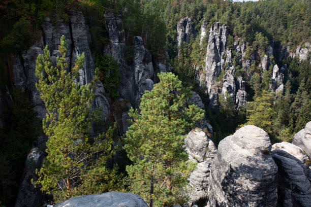 istock landscape park with rocks in Germany 1311597133