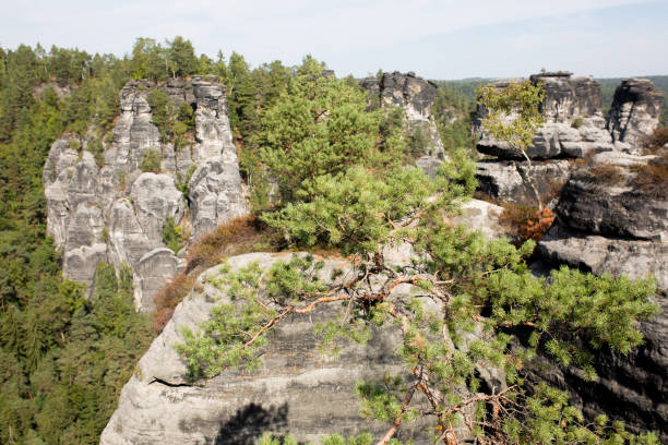 istock landscape with rocks and forest in sunny day 1311597136