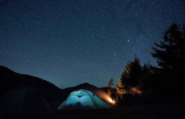 istock Illuminated camp tent under beautiful night sky with stars. 1311601452