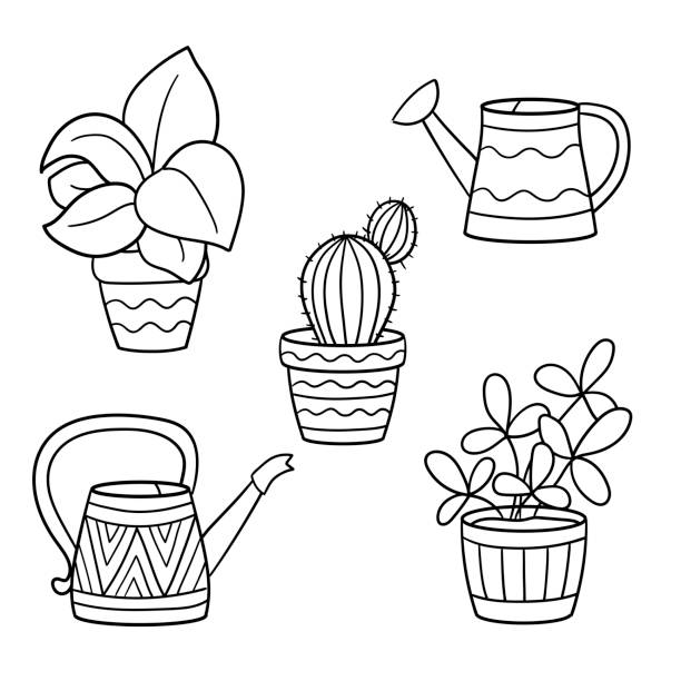 Ilustración de Página Para Colorear Con Plantas Domésticas En Macetas Y Latas De Riego y más Vectores Libres de Derechos de Regadera - iStock Ilustración de Página Para Colorear Con Plantas Domésticas En Macetas Y Latas De Riego y más Vectores Libres de Derechos de Regadera - iStock