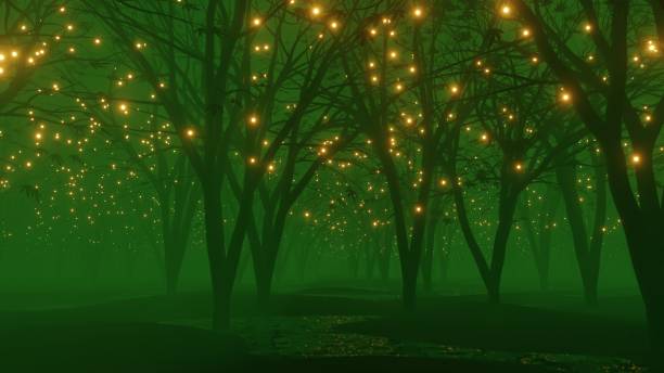Fireflies in a foggy dark green forest. 3D rendering Fantasy dark green color foggy forest landscape scene with mystic firefly lights. firefly forest stock pictures, royalty-free photos & images