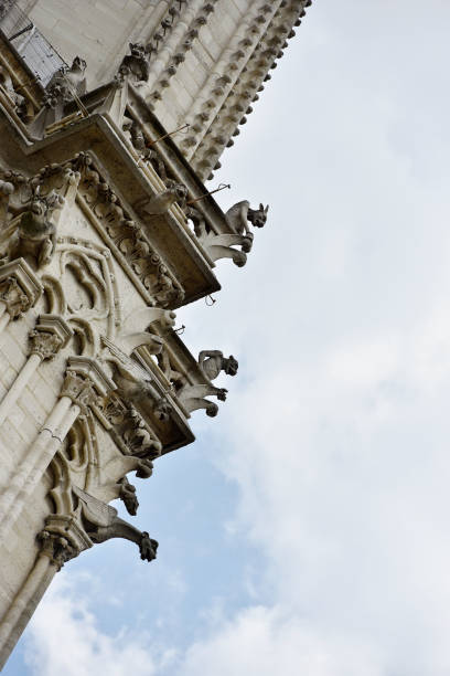istock Notre Dame de Paris, France 1311605609