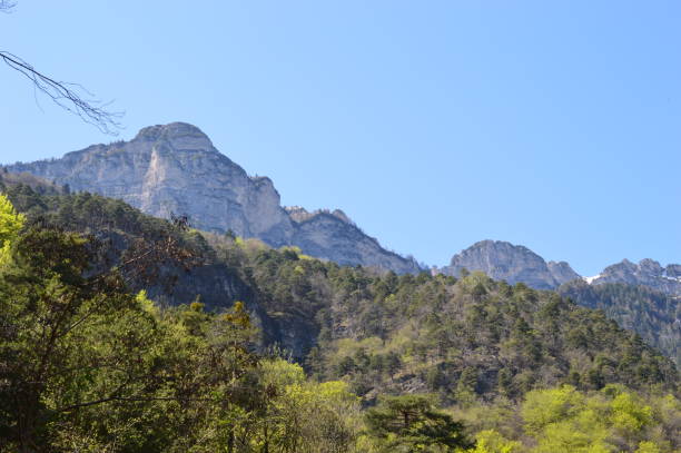 istock Landscape in Southtyrol in spring 1311607350