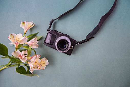 Retro photo camera on a paper background near a branch of Alstroemeria flowers.