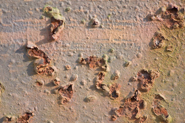 Rusty metal wall background with streaks of rust. Rust stains. Rust texture.