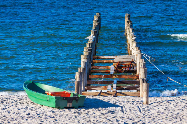 istock Groyne on the Baltic Sea coast in Zingst, Germany 1311612060