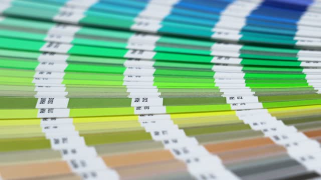 The graphic designer chooses colors from the color palette guide. Discover the best Pantone colors