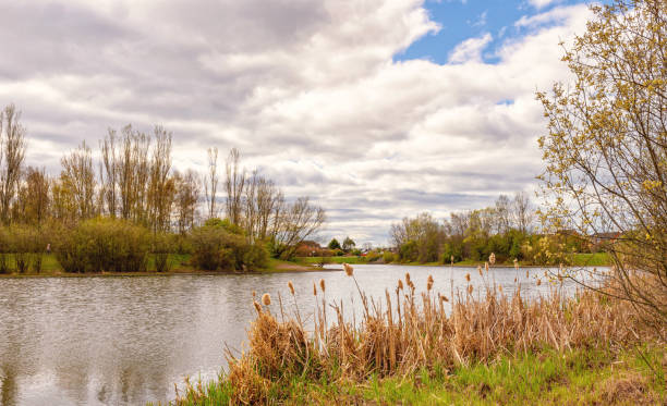 istock Lake in an urban park. 1311614829