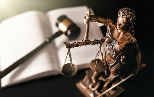 レディ・ジャスティス。図書館の正義の像 - book law legal system gavel ストックフォトと画像