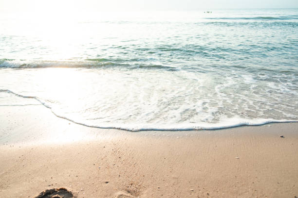 istock Close Up Wave Sand Beach Sea Foam vacation Summer background 1311619628