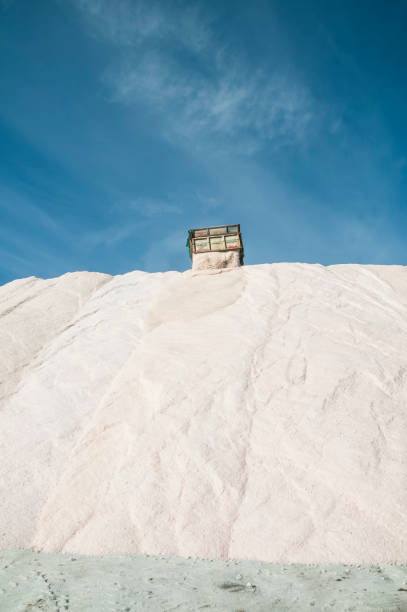 istock dunaliella salina 1311621143