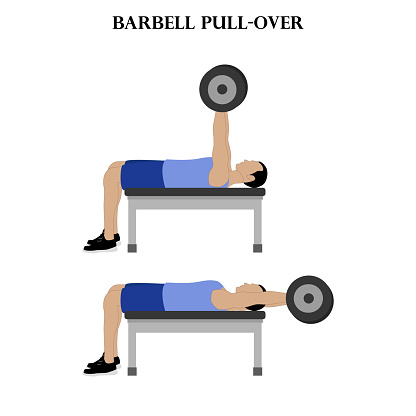 Poll Over Barbell Pullover Exercise Strength Workout Vector Illustration Stock ...