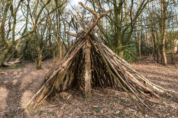 istock Bushcraft style tipi shelter 1311622705