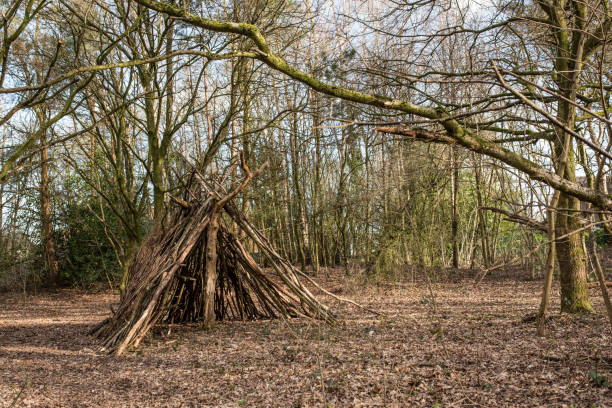 istock Bushcraft style tipi shelter 1311622710