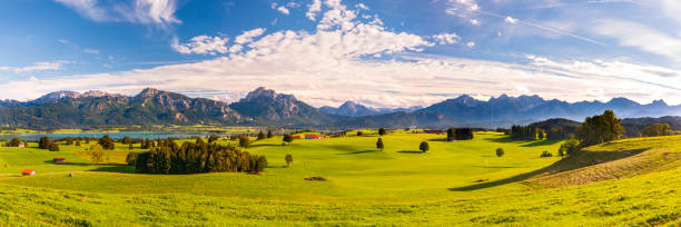 istock beautiful rural landscape in Bavaria with mountain range and meadow at springtime 1311623413
