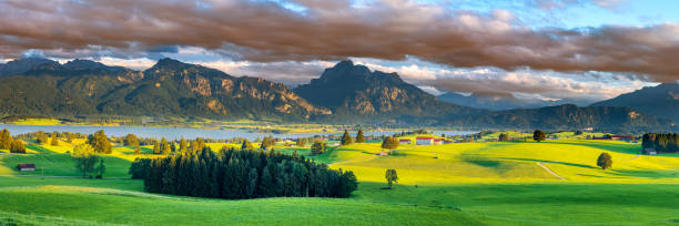 istock beautiful rural landscape in Bavaria with mountain range and meadow at springtime 1311623713