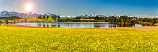 istock beautiful rural landscape in Bavaria with mountain range and meadow at springtime 1311623880