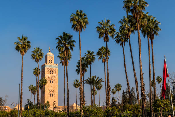istock Mosque and palm trees in Marrakech, Morocco 1311633693