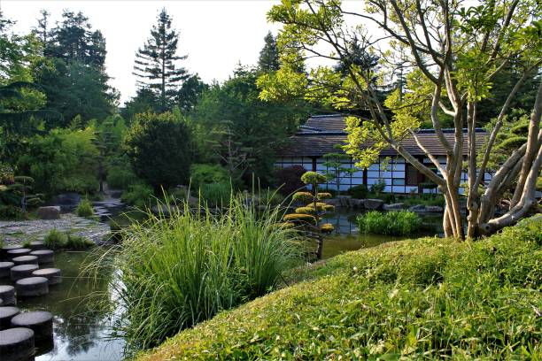 낭트 도심의 베르사유 섬의 일본 정원, 루아르 아틀란티크, pays 드 라 루아르 지역, 프랑스 - l unesco 뉴스 사진 이미지