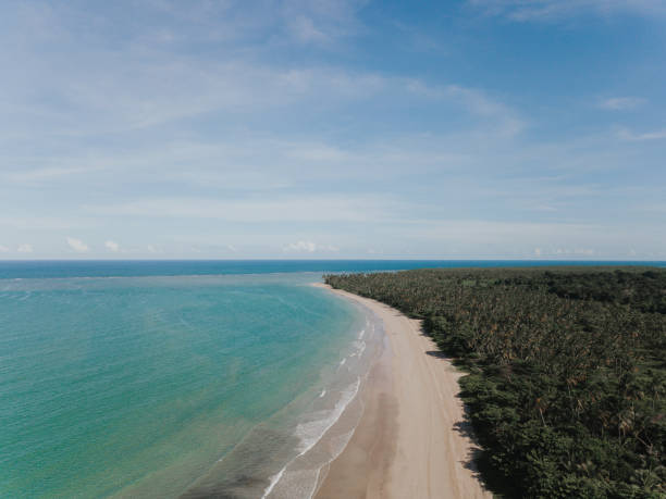 istock Boipeba Island - Bahia 1311636735