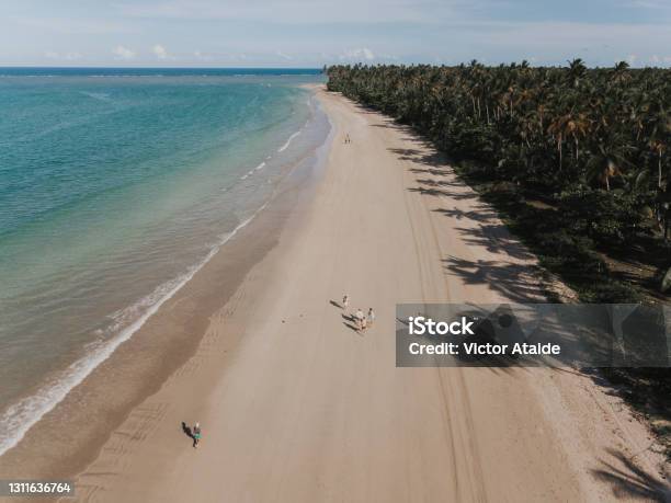 Boipeba Island Bahia Stock Photo - Download Image Now - Belo Horizonte, Bahia State, Brazil