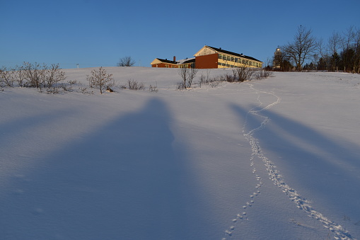 Tracks in the snow on a spring morning, Sainte-Apolline, Quebec