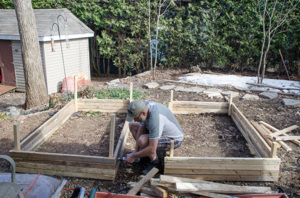 istock Man building wooden garden boxes in backyard 1311637486