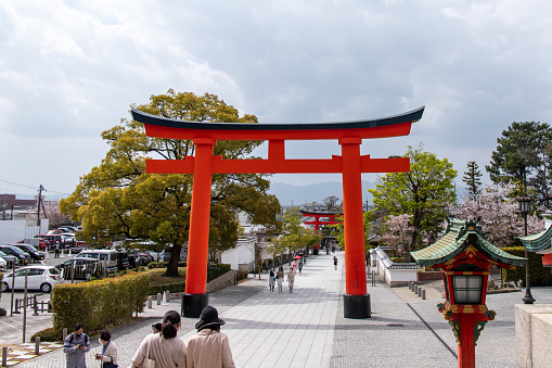 Kyoto, JAPAN - 2 Apr 2021 : Torii gate of Fushimi Inari-taisha, it sits at the base of a Inariyama in Fushimi-ku, with Sakura. The highlight of the shrine is the rows of torii called Senbon Torii