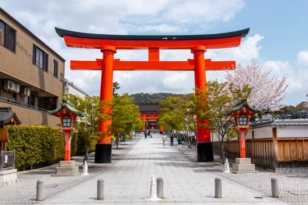 portão torii de fushimi inari-taisha com sakura - jinja - fotografias e filmes do acervo